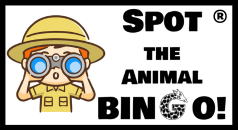 Spot The Animal Bingo